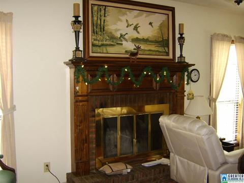 373 Spring Rd, Ohatchee, AL 36271 photo 25