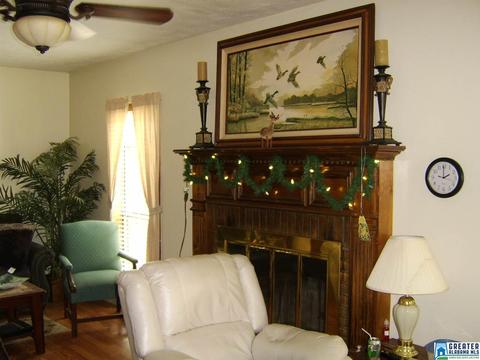 373 Spring Rd, Ohatchee, AL 36271 photo 27