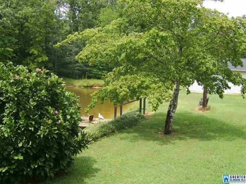 373 Spring Rd, Ohatchee, AL 36271 photo 11