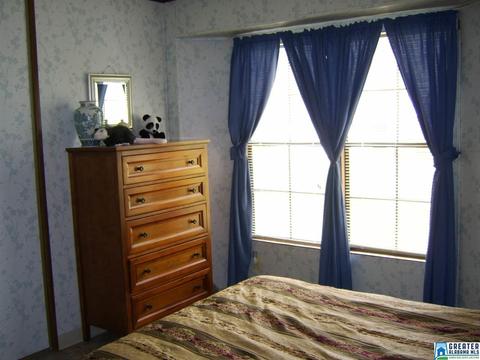 373 Spring Rd, Ohatchee, AL 36271 photo 29
