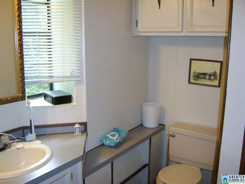 373 Spring Rd, Ohatchee, AL 36271 photo 23