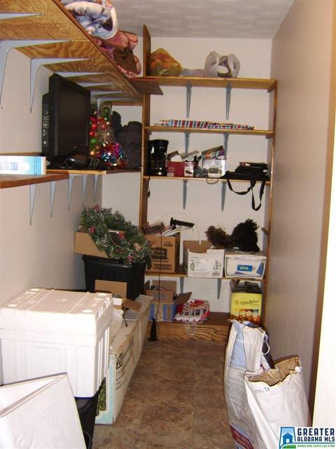 373 Spring Rd, Ohatchee, AL 36271 photo 28