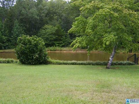 373 Spring Rd, Ohatchee, AL 36271 photo 8