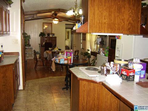 373 Spring Rd, Ohatchee, AL 36271 photo 18