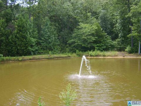 373 Spring Rd, Ohatchee, AL 36271 photo 36