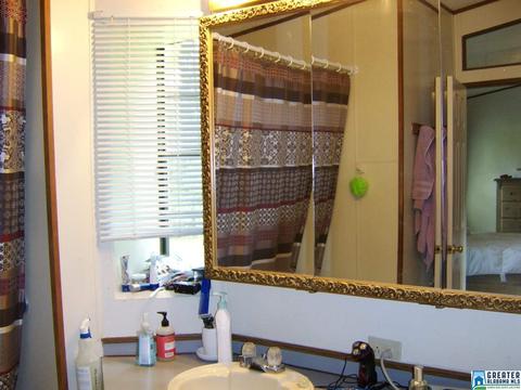 373 Spring Rd, Ohatchee, AL 36271 photo 24