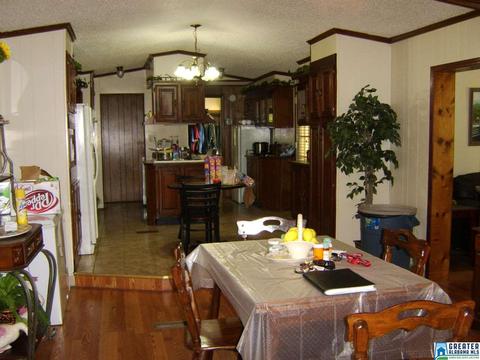 373 Spring Rd, Ohatchee, AL 36271 photo 15