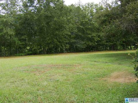 373 Spring Rd, Ohatchee, AL 36271 photo 12