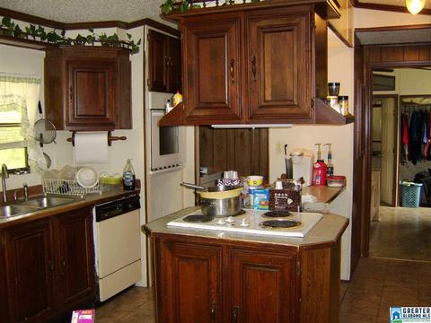 373 Spring Rd, Ohatchee, AL 36271 photo 14
