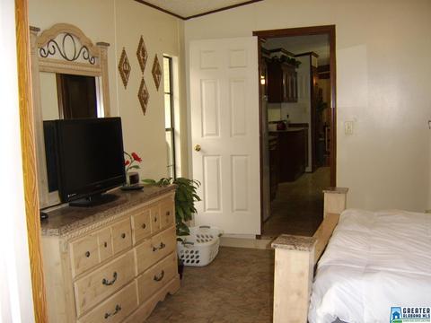 373 Spring Rd, Ohatchee, AL 36271 photo 20