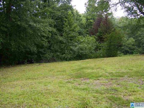 373 Spring Rd, Ohatchee, AL 36271 photo 6