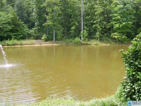 373 Spring Rd, Ohatchee, AL 36271 photo 34