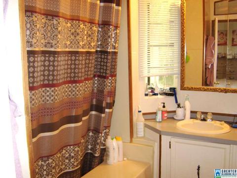 373 Spring Rd, Ohatchee, AL 36271 photo 22