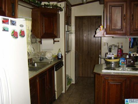 373 Spring Rd, Ohatchee, AL 36271 photo 17