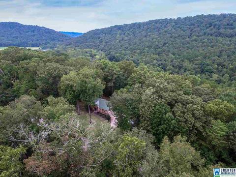 168 Oak Dr, Remlap, AL 35133 photo 34