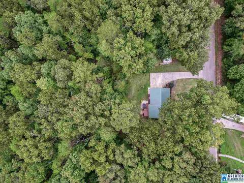 168 Oak Dr, Remlap, AL 35133 photo 35