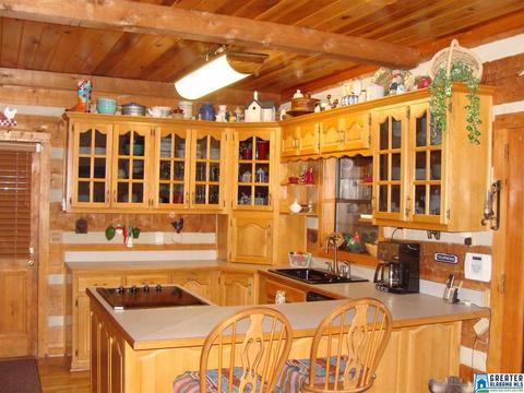 70 Fox Ridge Dr, Warrior, AL 35180 photo 9