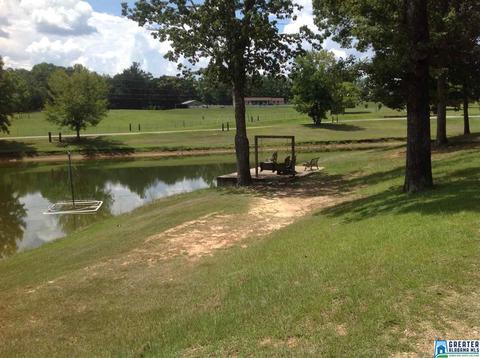 70 Fox Ridge Dr, Warrior, AL 35180 photo 44