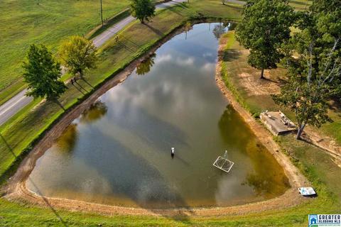 70 Fox Ridge Dr, Warrior, AL 35180 photo 13