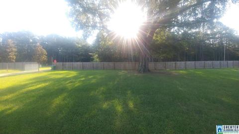 14918 Renfroe Rd, Alpine, AL 35014 photo 6