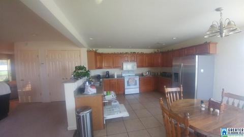 14918 Renfroe Rd, Alpine, AL 35014 photo 8