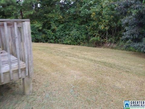 240 Ty Ln, Warrior, AL 35180 photo 15