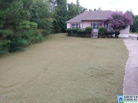 240 Ty Ln, Warrior, AL 35180 photo 1