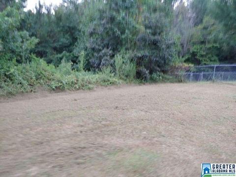 240 Ty Ln, Warrior, AL 35180 photo 16