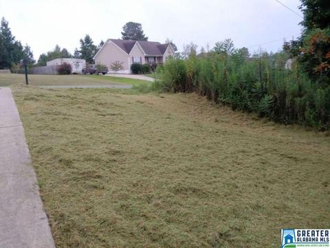 240 Ty Ln, Warrior, AL 35180 photo 9