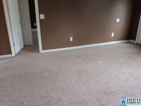 240 Ty Ln, Warrior, AL 35180 photo 3