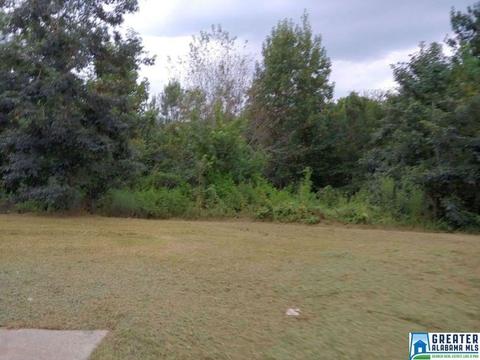 240 Ty Ln, Warrior, AL 35180 photo 13