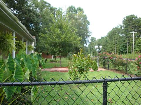 1259 County Road 76, Clanton, AL 35045 photo 36
