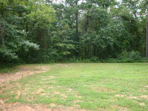 1259 County Road 76, Clanton, AL 35045 photo 31