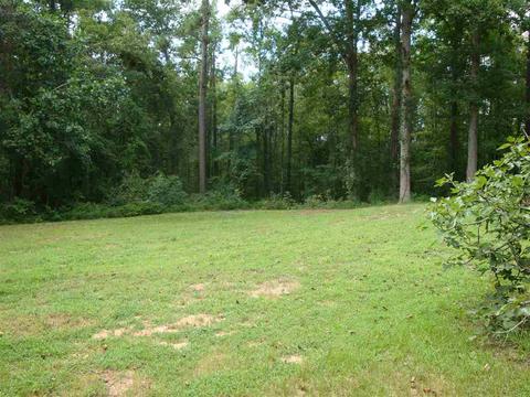 1259 County Road 76, Clanton, AL 35045 photo 30