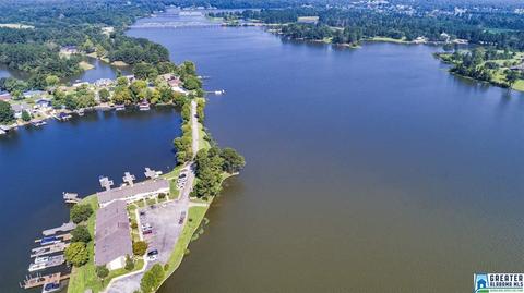 708 Cove Point Dr, Riverside, AL 35135 photo 33