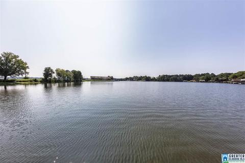 708 Cove Point Dr, Riverside, AL 35135 photo 21