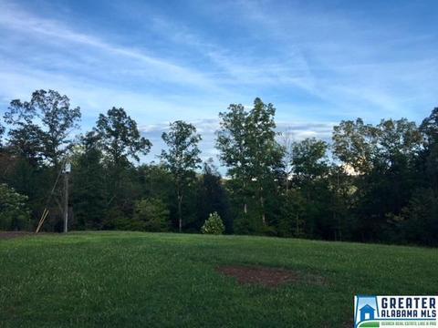 79 River Rd, Oneonta, AL 35121 photo 27