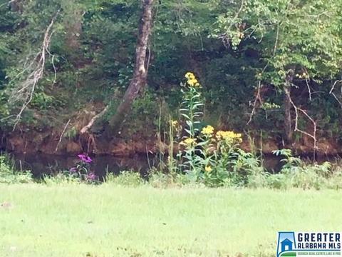 79 River Rd, Oneonta, AL 35121 photo 28