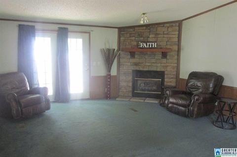 79 River Rd, Oneonta, AL 35121 photo 37