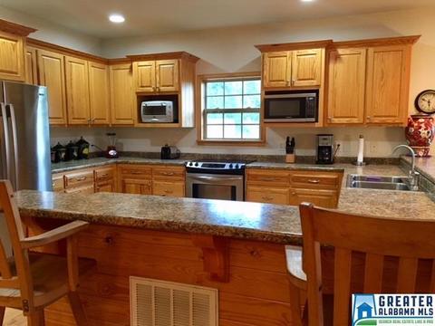 79 River Rd, Oneonta, AL 35121 photo 7