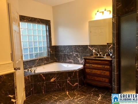 79 River Rd, Oneonta, AL 35121 photo 14