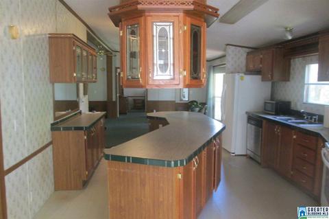 79 River Rd, Oneonta, AL 35121 photo 35