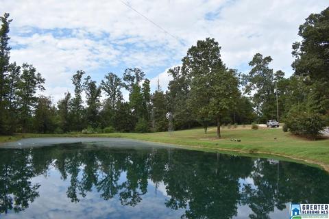 2262 Gilberts Ferry Rd, Ohatchee, AL 36271 photo 36