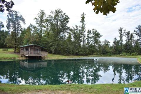 2262 Gilberts Ferry Rd, Ohatchee, AL 36271 photo 33