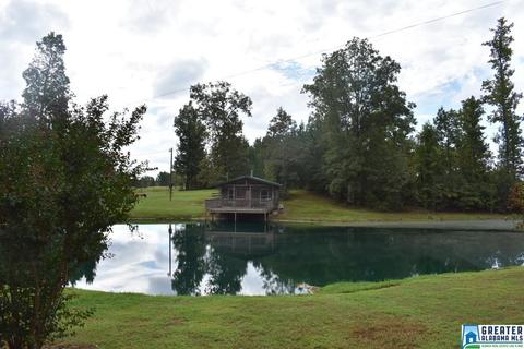 2262 Gilberts Ferry Rd, Ohatchee, AL 36271 photo 2