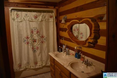 2262 Gilberts Ferry Rd, Ohatchee, AL 36271 photo 16