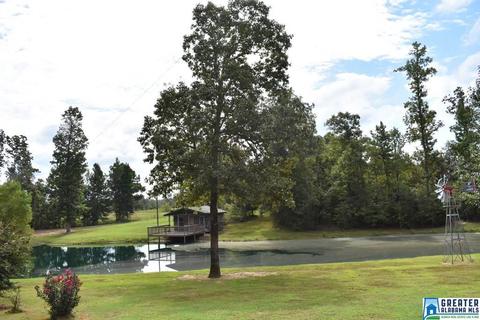 2262 Gilberts Ferry Rd, Ohatchee, AL 36271 photo 46