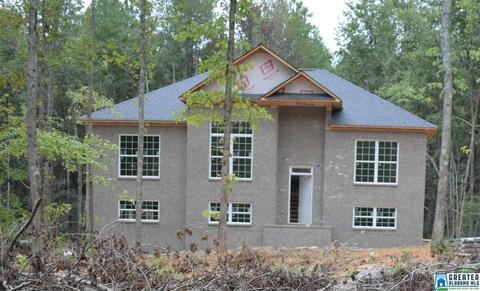 9965 Mize Rd, Remlap, AL 35133 photo 14