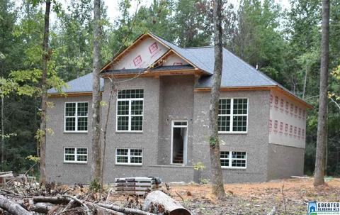 9965 Mize Rd, Remlap, AL 35133 photo 15