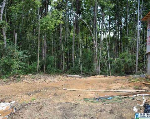 9965 Mize Rd, Remlap, AL 35133 photo 3